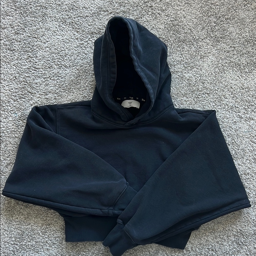 Aritzia Tna Cropped Hoodie